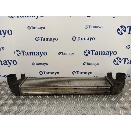 Intercooler para Land Rover Freelander (Lr2)
