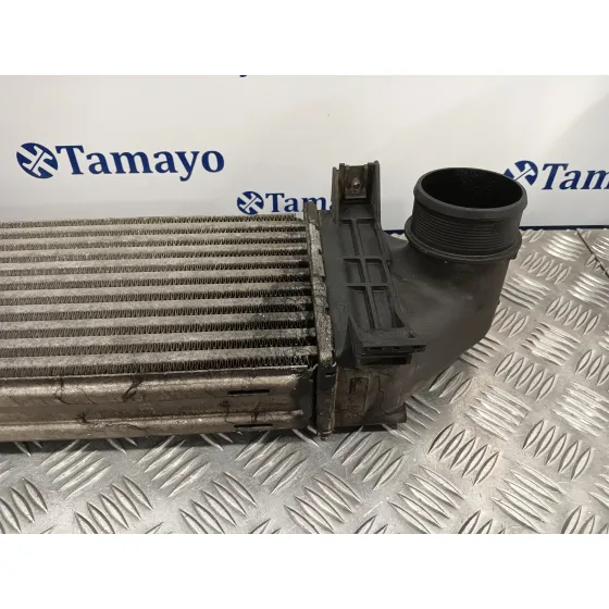 Intercooler para Land Rover Freelander (Lr2)