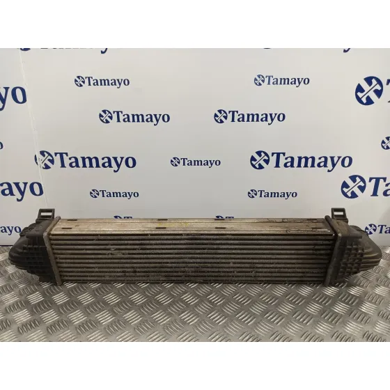 Intercooler para Land Rover Freelander (Lr2)