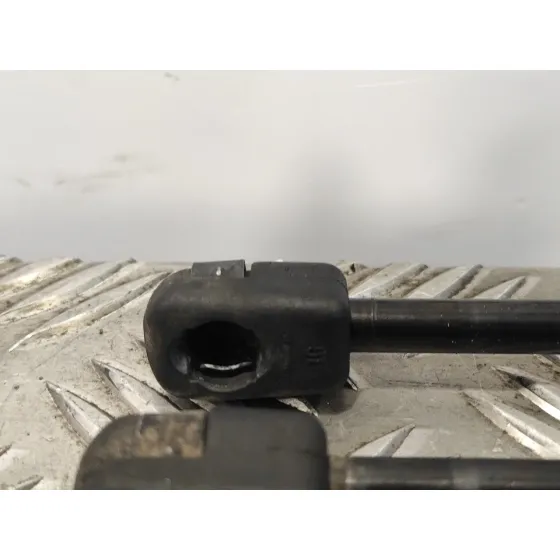 Amortiguadores Maletero / Porton para Ford Fiesta (Cb1)