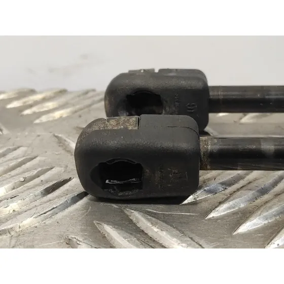 Amortiguadores Maletero / Porton para Ford Fiesta (Cb1)