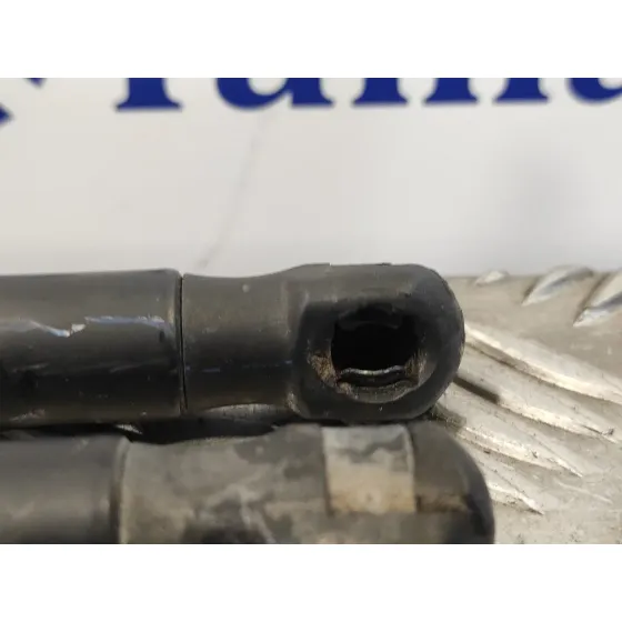 Amortiguadores Maletero / Porton para Ford Fiesta (Cb1)