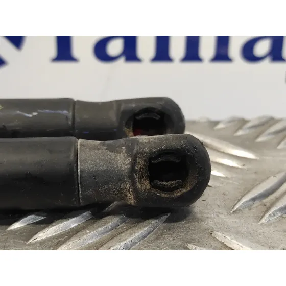Amortiguadores Maletero / Porton para Ford Fiesta (Cb1)