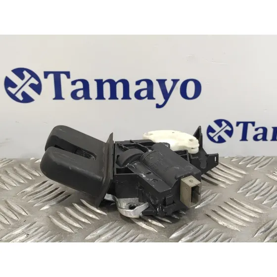 Cerradura Maletero / Porton para Volkswagen Passat Berlina (3C2)