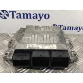Centralita Motor Uce para Ford Focus Lim. (Cb8)