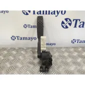 Potenciometro Pedal para Volkswagen Touareg (7L6)