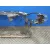 Panel Frontal para Fiat Bravo (198)