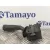 Mando Limpia para Volkswagen Touareg (7L6)
