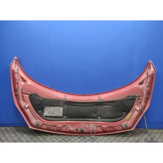 Capot para Renault Scenic Ii