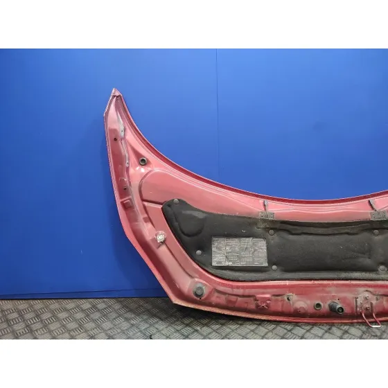Capot para Renault Scenic Ii