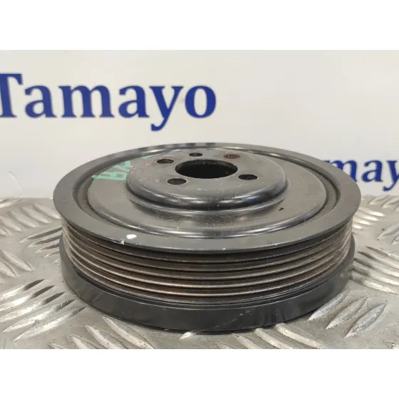 Polea Ciguenal para Seat Leon (1P1)