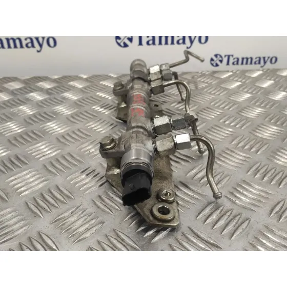 Rampa Inyectora para Opel Combo D