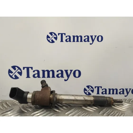 Inyector para Jaguar S-Type