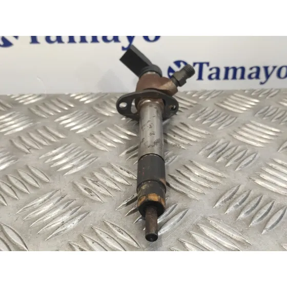 Inyector para Jaguar S-Type