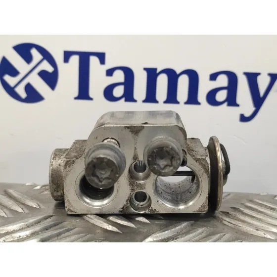 Valvula Trinaria para Volkswagen Touareg (7L6)