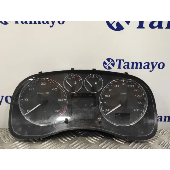 Cuadro Instrumentos para Peugeot 307 Break/Sw (S2)