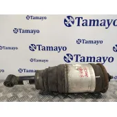 Amortiguador Trasero Derecho para Land Rover Range Rover Sport