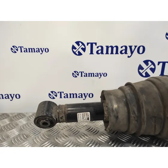 Amortiguador Trasero Derecho para Land Rover Range Rover Sport