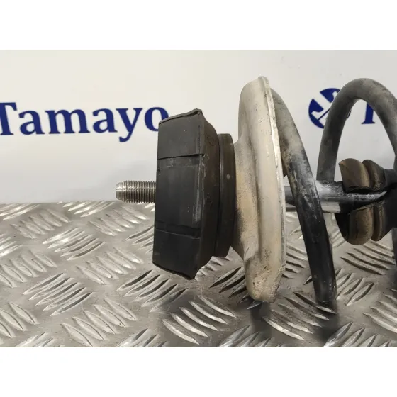Amortiguador Delantero Izquierdo para Dacia Sandero