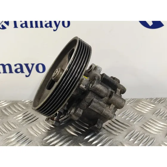 Bomba Direccion para Peugeot 407 Sw