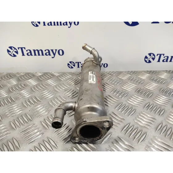 Enfriador Egr para Citroën Jumper Caja Cerrada Desde '02