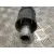 Transmision Central para Mitsubishi Montero (V60/V70)