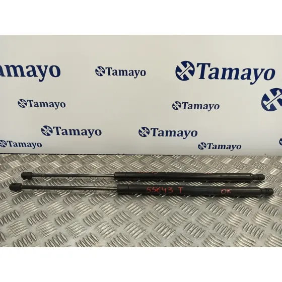 Amortiguadores Maletero / Porton para Land Rover Range Rover Sport