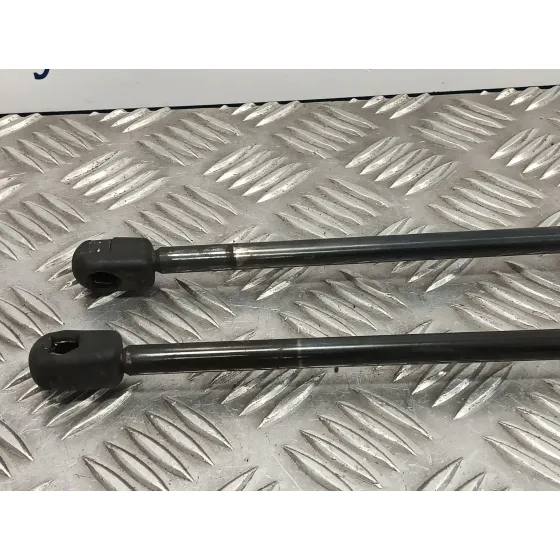 Amortiguadores Maletero / Porton para Land Rover Range Rover Sport
