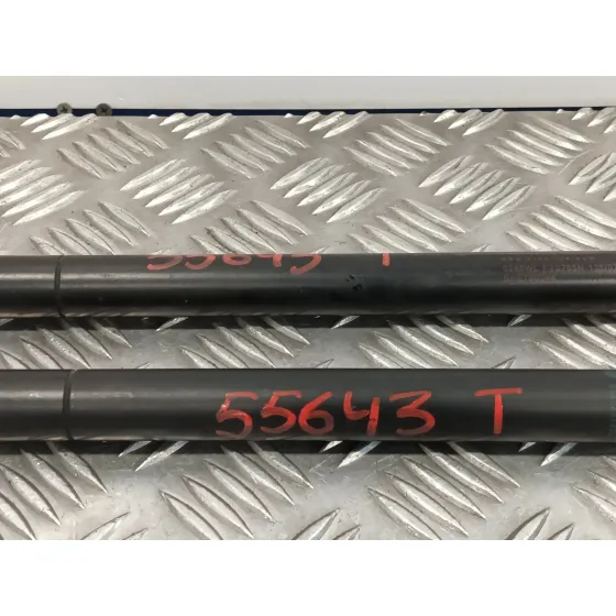 Amortiguadores Maletero / Porton para Land Rover Range Rover Sport
