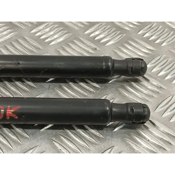 Amortiguadores Maletero / Porton para Land Rover Range Rover Sport