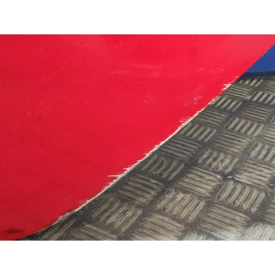 Puerta Trasera Izquierda para Ford Fiesta (Cb1)