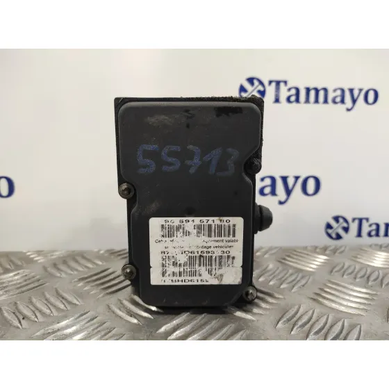 Abs para Peugeot 307 Berlina (S2)