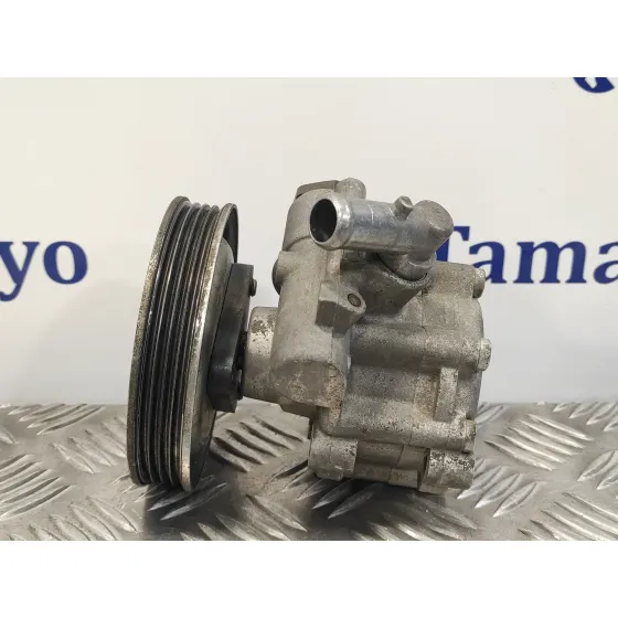 Bomba Servodireccion para Fiat Doblo (119)