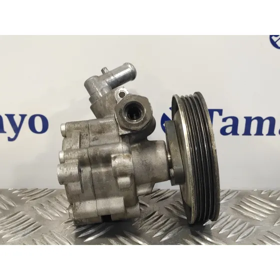 Bomba Servodireccion para Fiat Doblo (119)