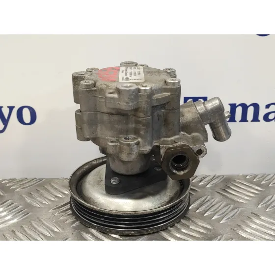 Bomba Servodireccion para Fiat Doblo (119)