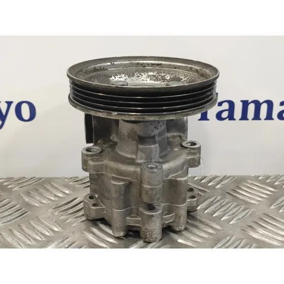 Bomba Servodireccion para Fiat Doblo (119)