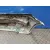 Paragolpes Delantero para Mercedes-Benz Clase A (W168)
