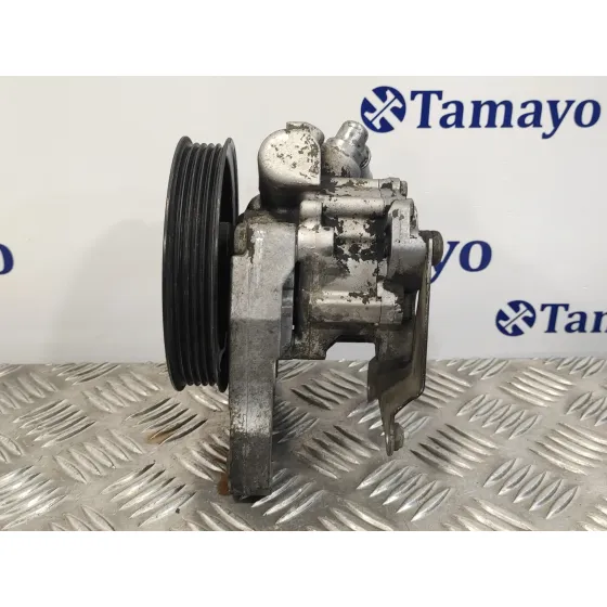 Bomba Servodireccion para Land Rover Freelander (Ln)