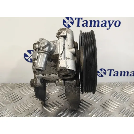 Bomba Servodireccion para Land Rover Freelander (Ln)