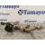 Cinturon Seguridad Trasero Central para Kia Carnival