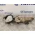Cinturon Seguridad Delantero Derecho para Kia Carnival