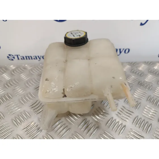 Deposito Expansion para Ford Kuga (Cbv)