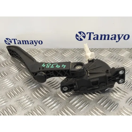 Potenciometro Pedal para Audi Q7 (4L)