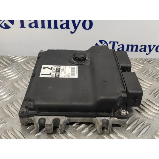 Centralita Motor Uce para Suzuki Sx4 Rw (Ey)