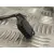 Retrovisor Derecho para Volkswagen Passat Variant (3B6)