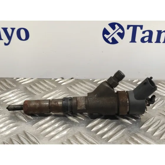 Inyector para Citroën Xsara Picasso