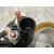 Motor Arranque para Volkswagen Golf V Berlina (1K1)