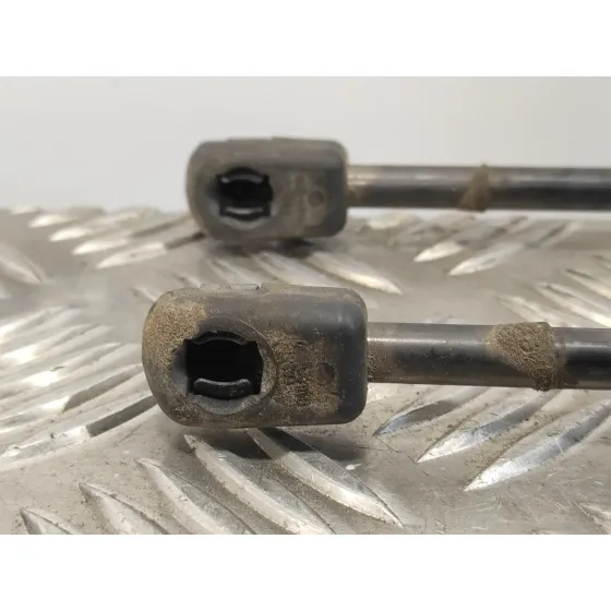 Amortiguadores Maletero / Porton para Citroën C4 Picasso