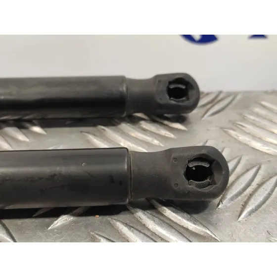 Amortiguadores Maletero / Porton para Citroën C4 Picasso