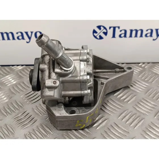 Bomba Direccion para Bmw Serie 3 Berlina (E90)